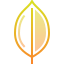 MongoDB logo